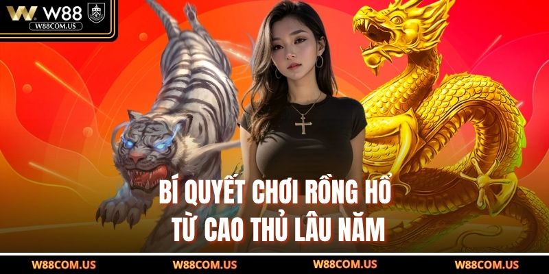 Bí quyết chơi rồng hổ từ cao thủ lâu năm